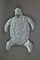 Galvanized Zinc Finish Metal Sea Turtle Wall Hanging With Painted Shell
